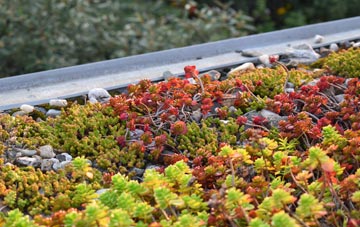 the cost of Lackenby green roof installation
