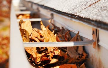Lackenby gutter cleaning companies