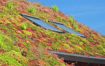Lackenby living roof systems