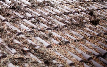 Lackenby roof cleaning companies