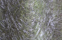 Lackenby fibreglass roof work